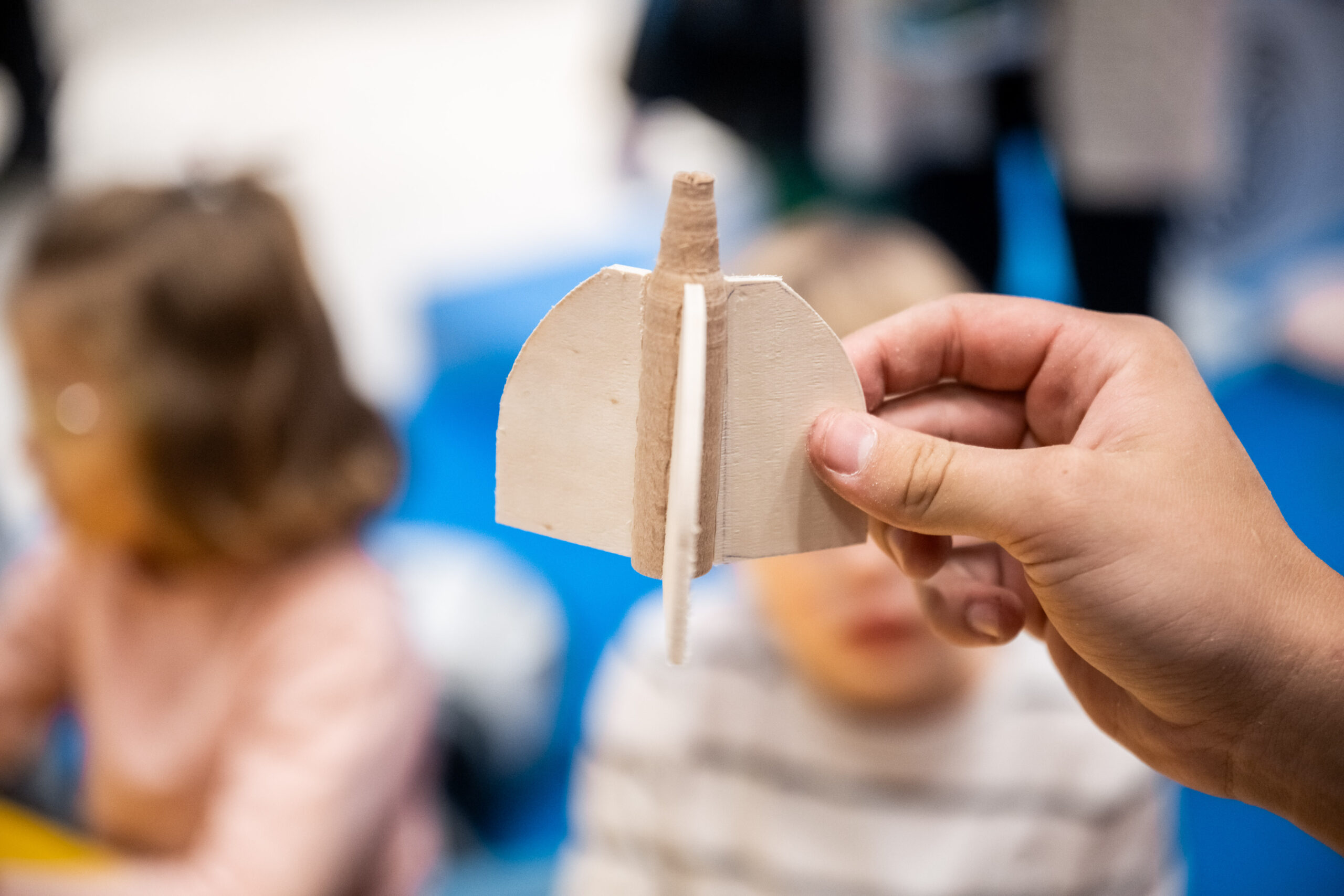 VESOLJSKA RAKETA IZ LESA